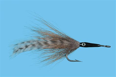 Cockroach Fly Tutorial 的图像结果