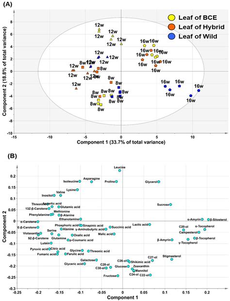 Metabolomic Variability of Different Soybean Genotypes: β-Carotene ...