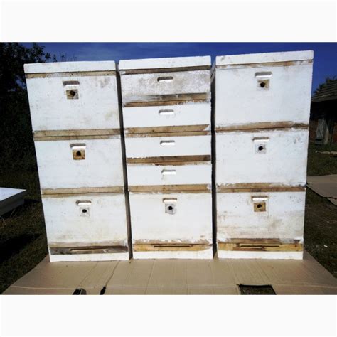 Продам/купити вулик ППС - Ульи ППС - Улей из пенополистирола — Agro-Ukraine