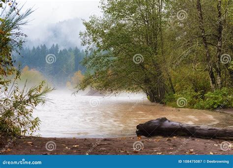 Autumn Rains Along the Sandy River Stock Image - Image of oregon ...