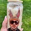 Image result for Bunny in a Cup Meme
