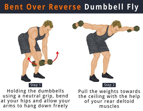 Image result for Bent Over Dumbell Flys Using Bench