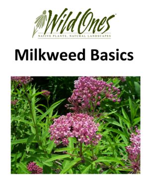 Fillable Online Milkweed Basics Wild for Monarchs Milkweed Basics Index ...