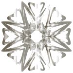 Apollo CSM 的图像结果