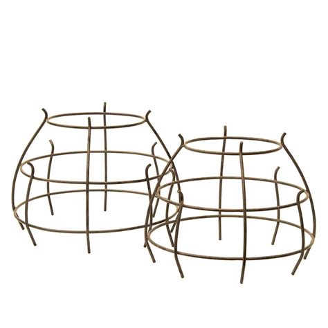 Buy Pot supports Crocus green - set of 2: Delivery by Waitrose Garden