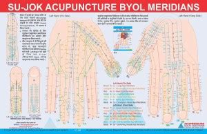 Sujok Acupuncture - Byol Meridian Chart Paper Print - Educational ...