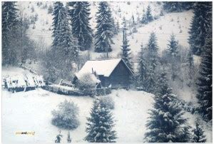 Pics And You Winter Season Themed 94 Wall Poster (300gsm Art paper ...