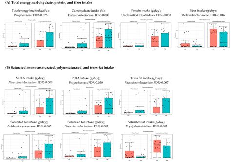 Association of the Gut Microbiota with the Host’s Health through an ...