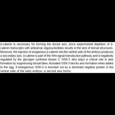In Xenopus embryos, beta-catenin plays an important role in the Dorsal ...