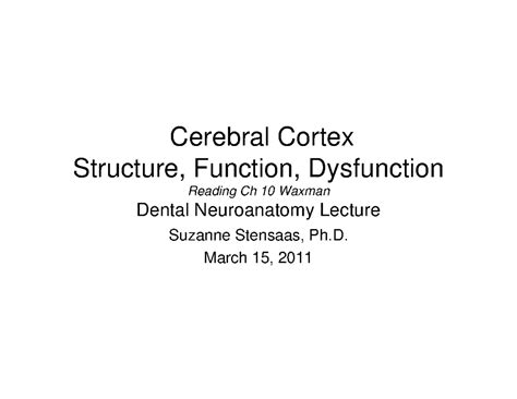Cortex Structure & Function Review: Dental Neuroanatomy Quiz (09) - Studocu