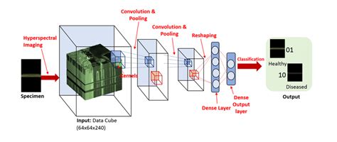 Feature Map Computer Vision 的图像结果
