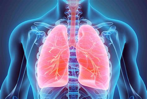 Lung and Respiratory - Symptom & Treatment