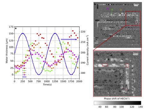 Polymer Electrolyte Fuel Cell Degradation Mechanisms and Their ...