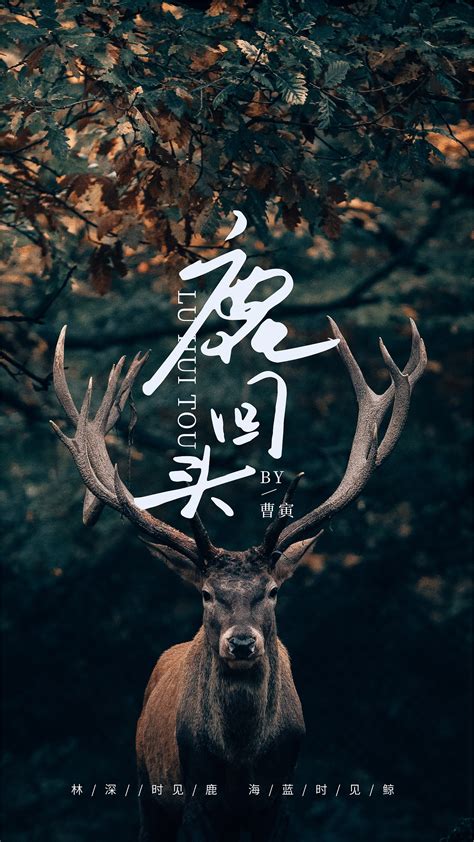 字体海报——《鹿回头》|平面|海报|嗮太阳的大熊猫 - 原创作品 - 站酷 (ZCOOL)