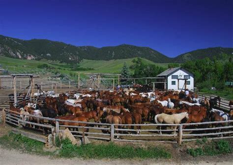 HF BAR RANCH (Saddlestring) - Ranch Reviews, Photos, Rate Comparison ...