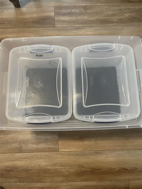 [actives] Did my side by side comparison. Right is layered grain and ...