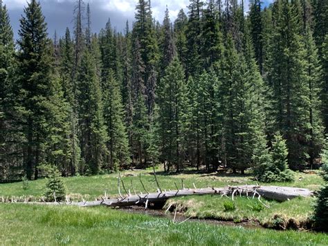 5 Best Campgrounds Near Alpine Arizona - Things To Do in Arizona White ...