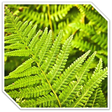 Image result for The Math Lab Math Imagined