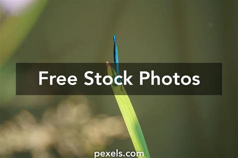 Image result for Boolean ZEN Style Python