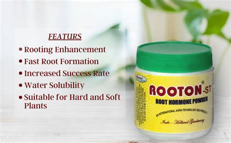 Rooton-St Cutting Root Hormone Powder for Wood Cuttings | Fast Root ...