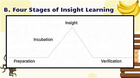 Insight Learning Theory.pdf