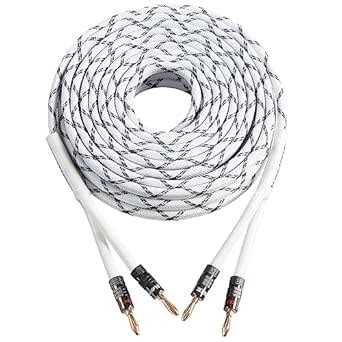 HANNLINTE 12AWG Speaker Cable (6 Feet), 1 Pack Premium Heavy Duty ...