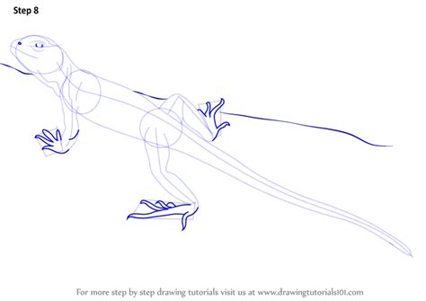 Image result for Common Collared Lizard How to Draw