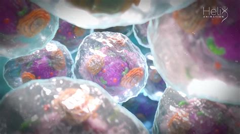 Helix animation medical illustration animation – Artofit