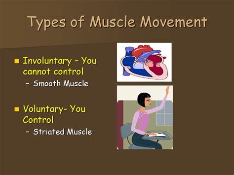 Image result for Muscle Movement Types