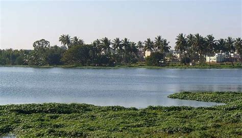 Hotels In Varthur Offers Utmost Comfort To Tourist In 2025