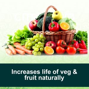 Urban yog vegetable and Fruit wash liquid cleanser concentrated 500ml ...