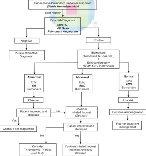 Pulmonary Embolism Algorithm 的图像结果