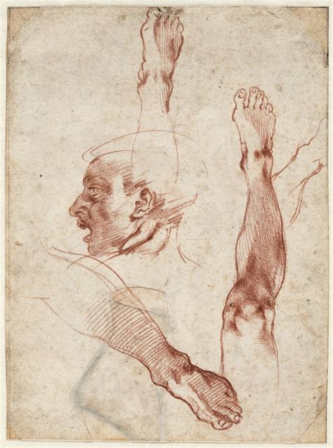 Image result for michelangelo anatomy studies