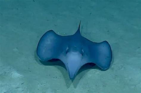 Image result for Precalculus Circle Explained