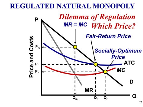 Regulated Monopoly Graph 的图像结果