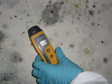 Image result for Mold Remediation Testing