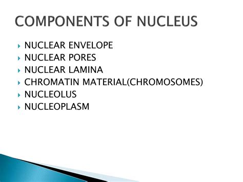 Nucleus-the heart of the cell-cellular organelles | PPT