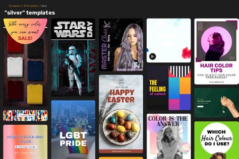 Silver Color Partner 的图像结果