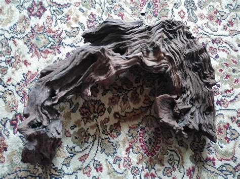 How to Test Wood for Aquariums 的图像结果