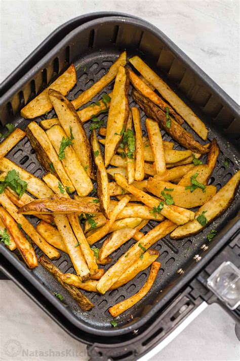 Air Fryer French Fries Recipe - Doctor Woao
