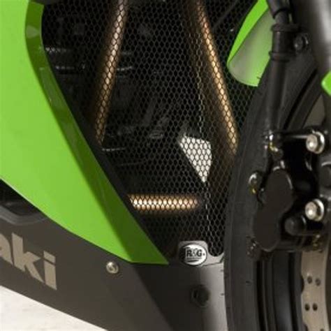 Buy R&G Downpipe Grille for Kawasaki Ninja 300 Online in India ...