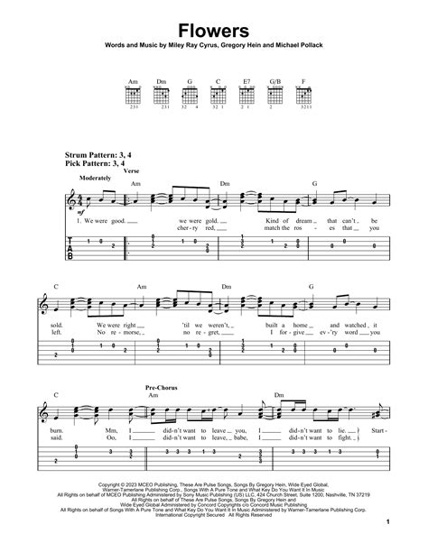 Supermarket Flowers Lyrics Guitar Chords at Alyssa Coode blog