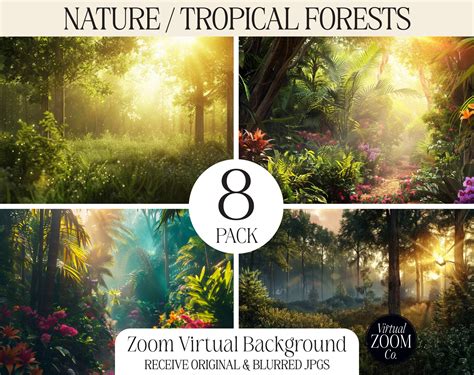 Meeting Background 的图像结果