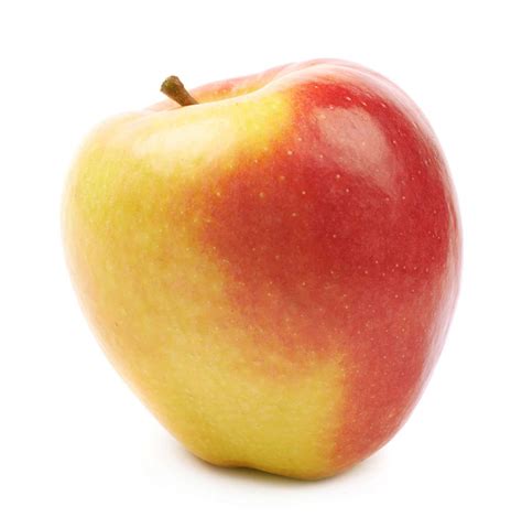 Image result for Apple System.Data