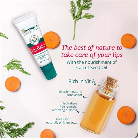 Buy HIMALAYA LIP BALM 5 GM Online & Get Upto 60% OFF at PharmEasy