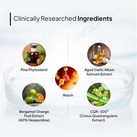 Best Cholesterol Care Tablets/Capsules Supplement in India