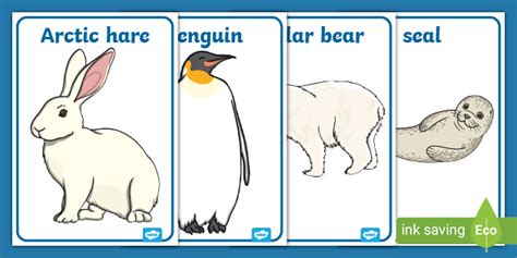 FREE! - Polar Regions Animals Display Posters - Polar List