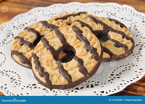 Fudge Striped Shortbread Cookies Stock Image - Image of chocolate ...