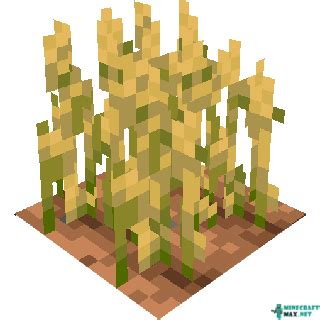 Minecraft Wheat Png