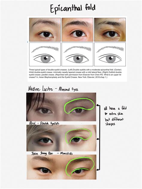How To Draw Epicanthic Folds